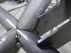 IBEX DETAILS