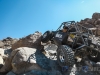 goat_built-125