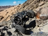 goat_built-160