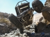 goat_built-182